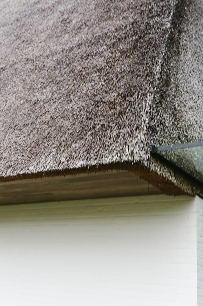 Exterieur rietdak close-up &mdash; woning Eyskens, Oud-Turnhout